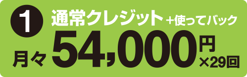 1.当社通常クレジット+使ってバック